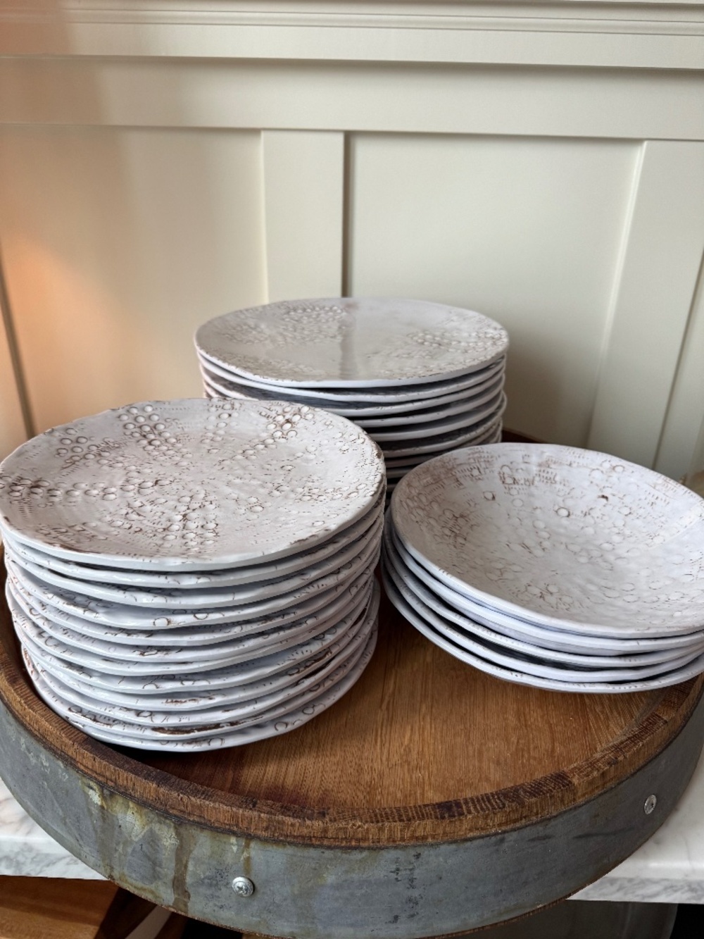 Fortessa Eddie Melamine Dinner Plates SET OF SEVEN